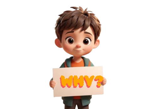 WHY CHOOSE US?